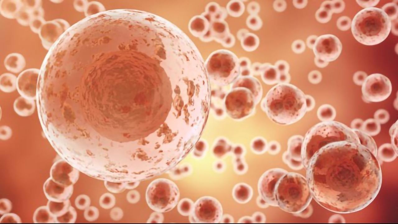 Supporting Drug Discovery with Cell-centered Models of the Immune System