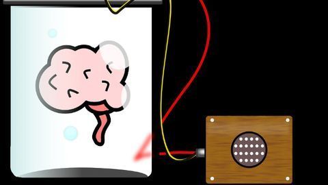Engineers Translate Brain Signals Directly Into Speech