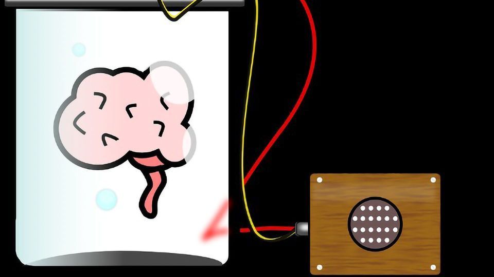 Engineers Translate Brain Signals Directly Into Speech content piece image