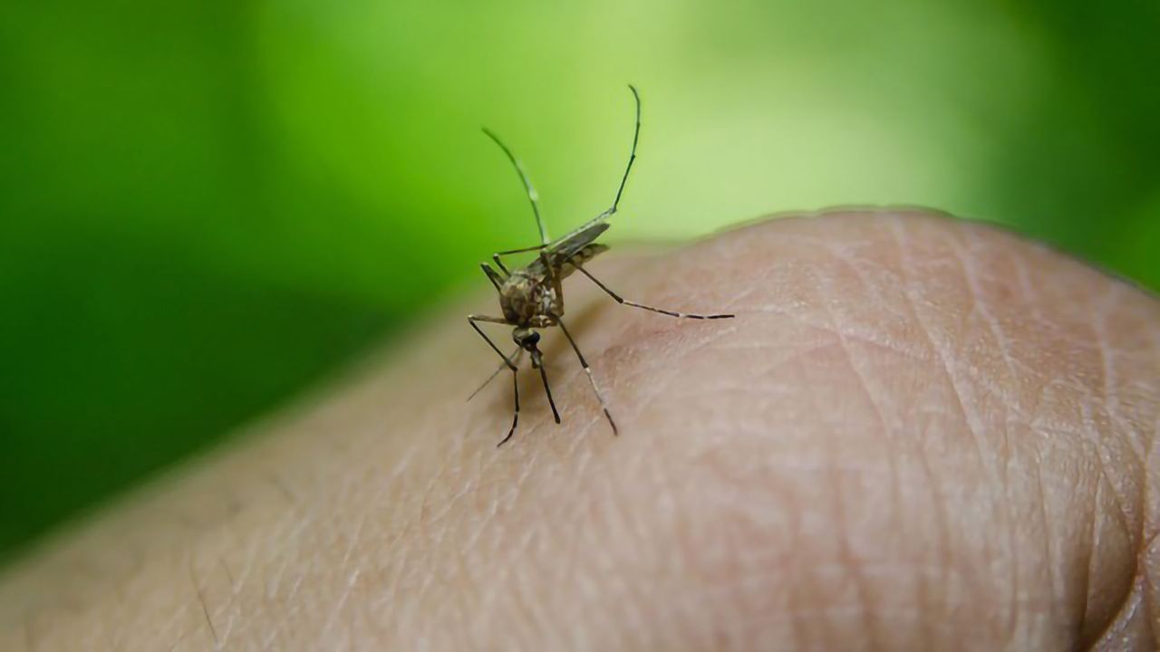 20 Genes Predict Severity of Dengue Fever