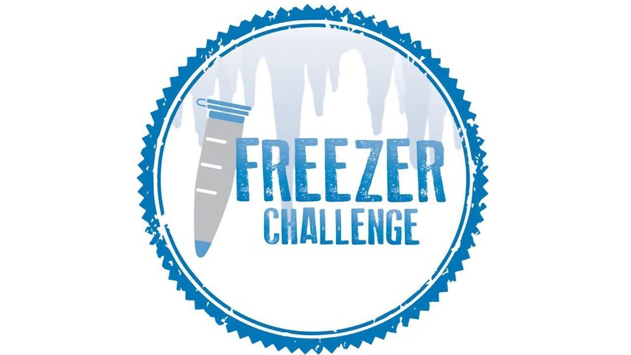 International Freezer Challenge 2019: Environmental protection at -80°C