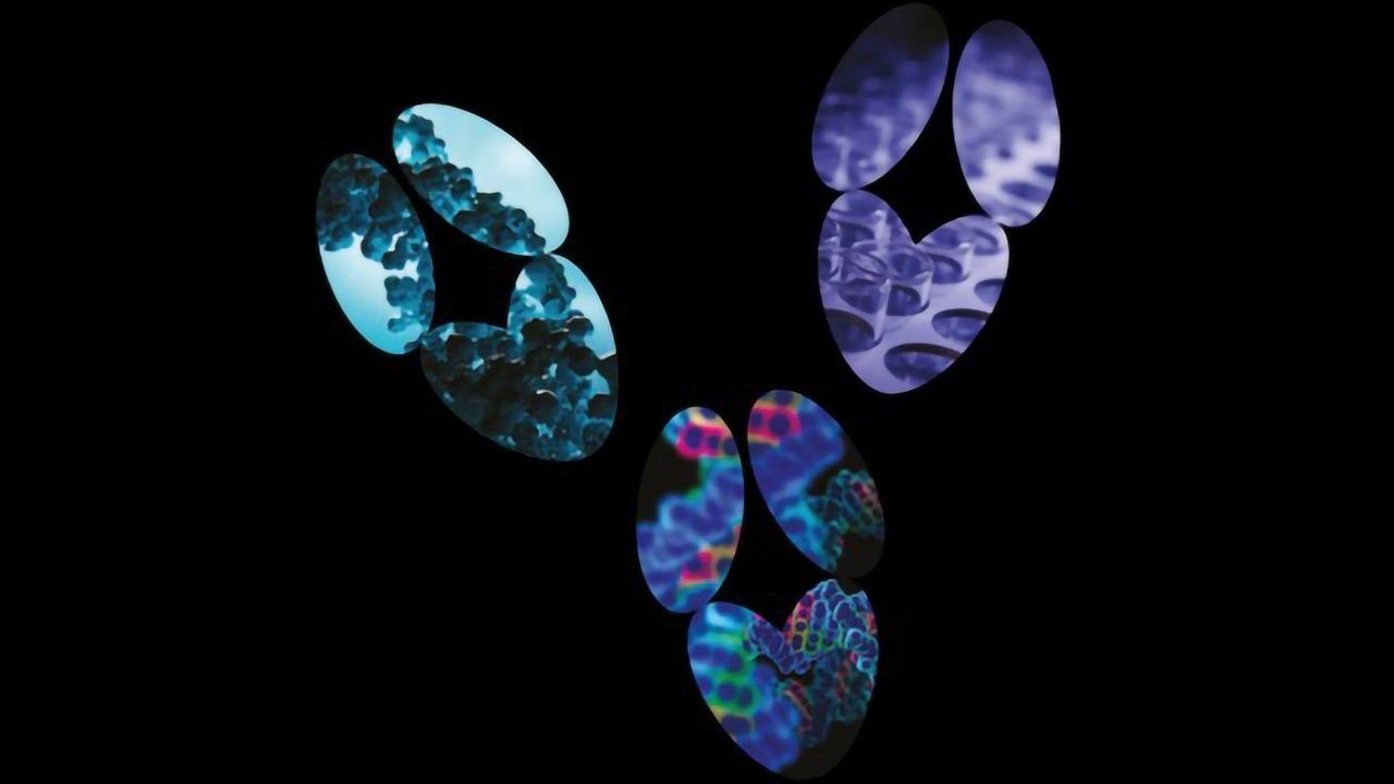 Absolute Antibody Receives ISO 9001:2015 Certification for Recombinant Antibody Manufacturing Facility