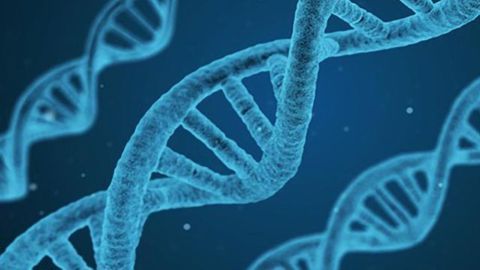 Genomic Screening Approach Developed to Aid Drug Discovery