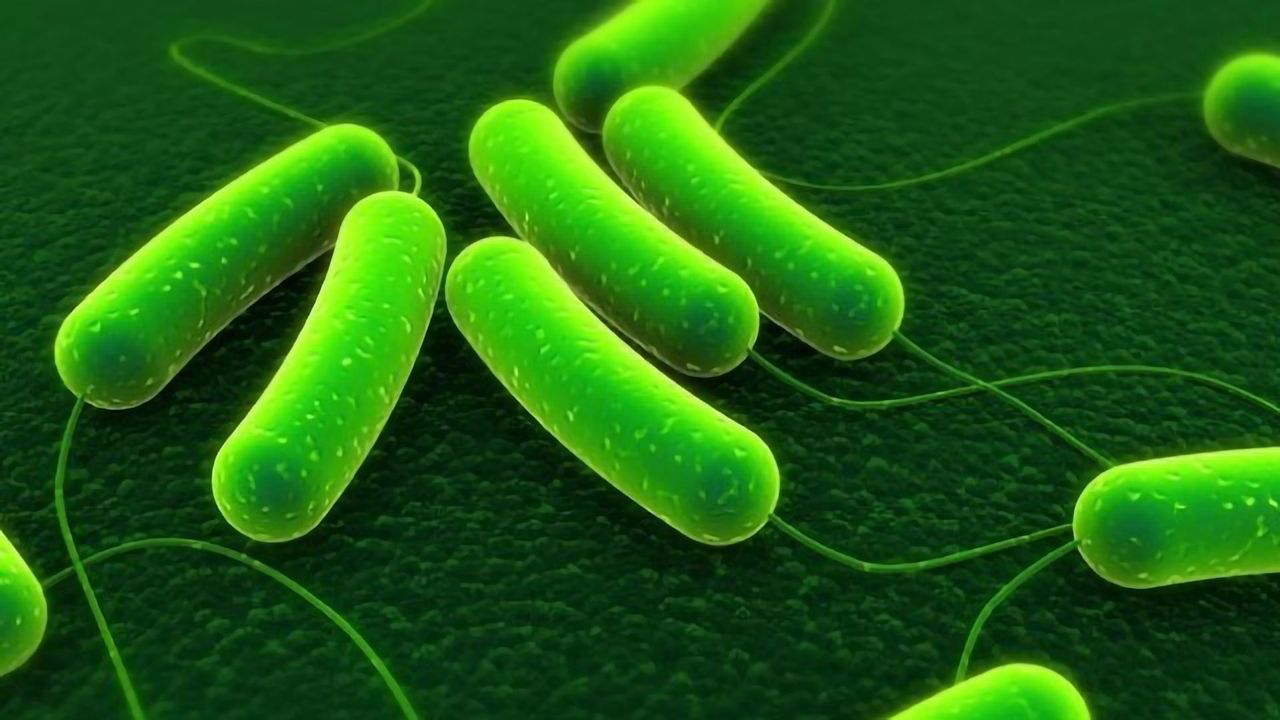 Vanquishing Superbugs