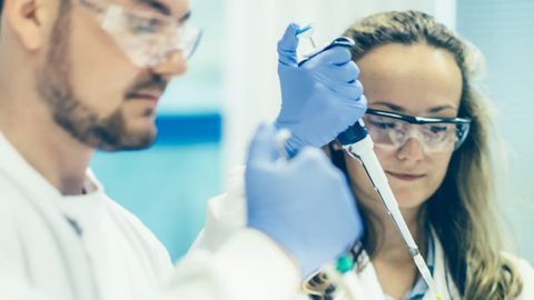 Abcam Expands Custom Services Capabilities with the Acquisition of Calico Biolabs