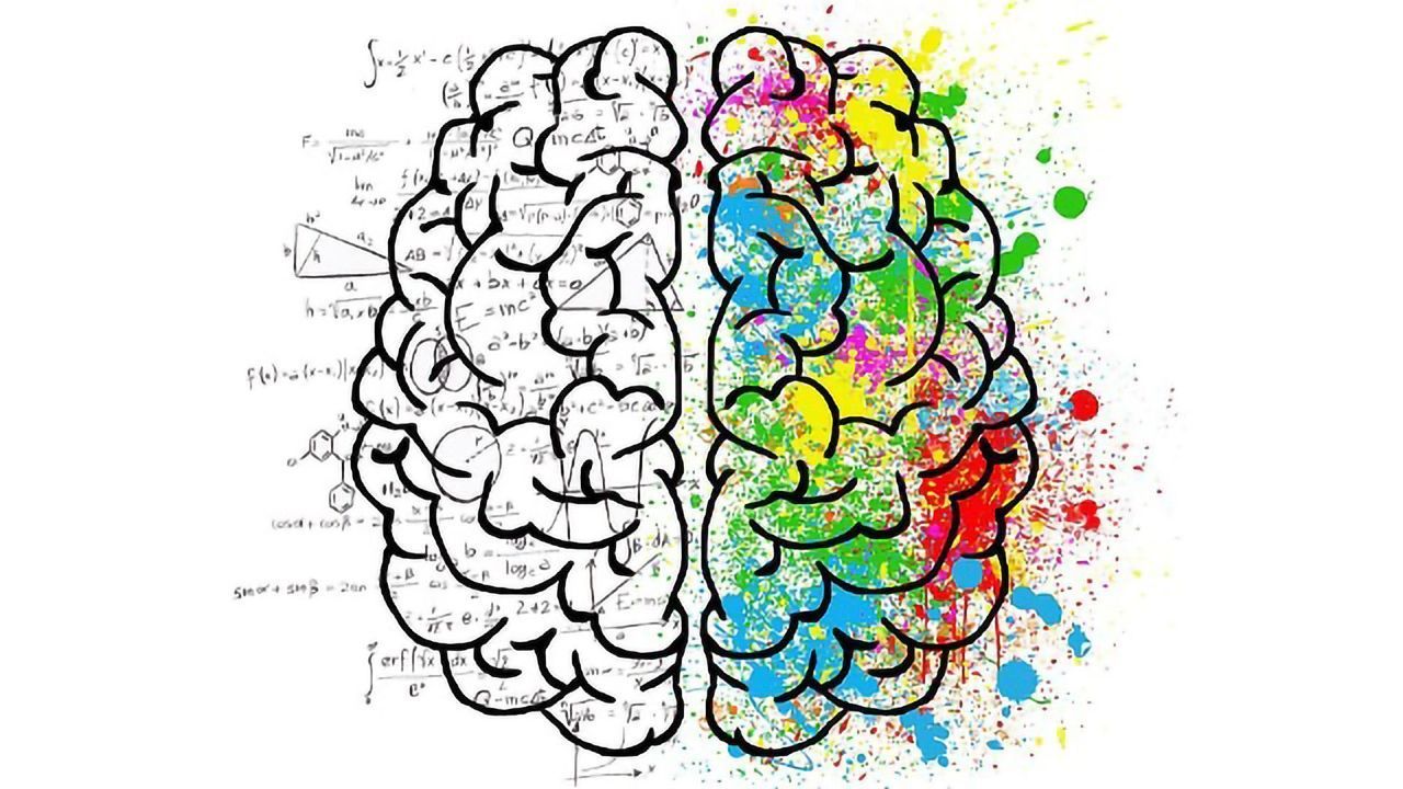Neuromyths Concerning the Left and the Right Brain