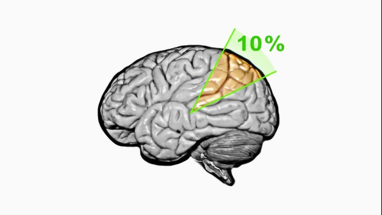 The Problem With Neuromyths