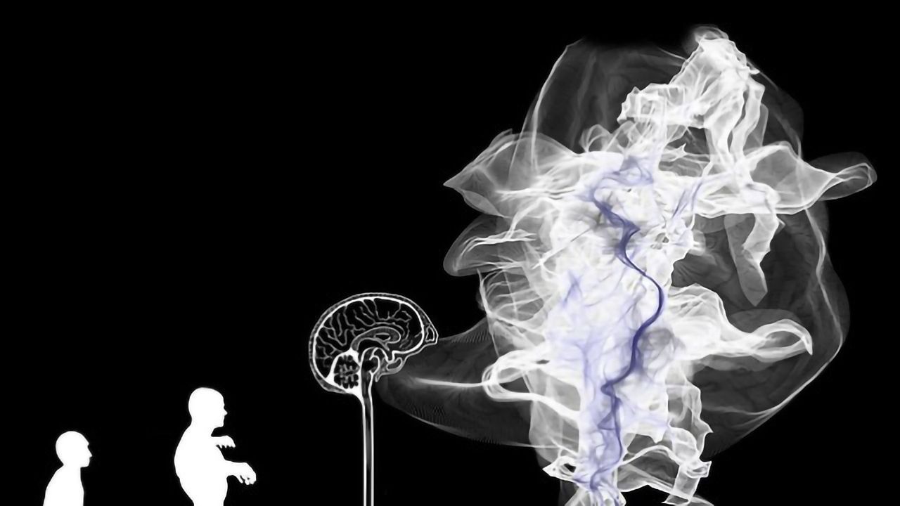 We Need to Fine-Tune our 'Maps' of the Visual Cortex, Study Shows