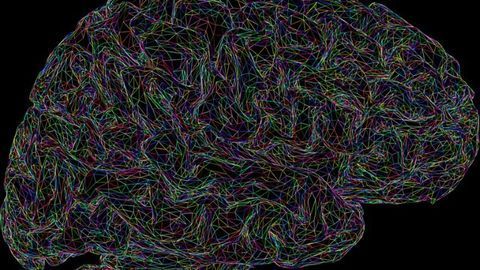 Learning New Vocabulary During Deep Sleep