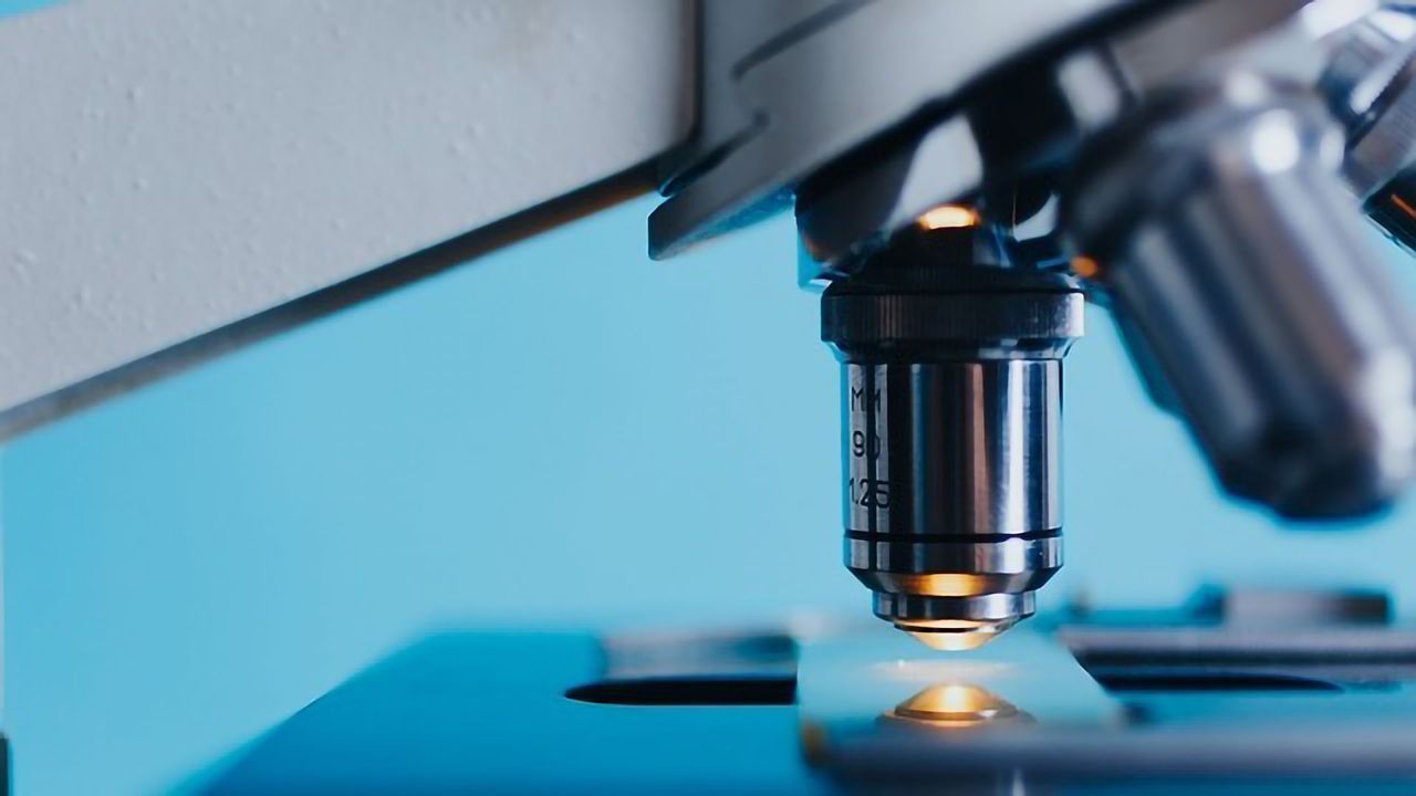 Window into Workings of White Blood Cells
