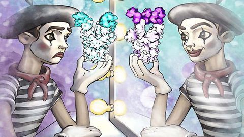 Antibodies of SARS-survivors Mimic Membranes to Trick Viruses