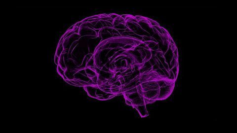 Roche Ends a Phase III Alzheimer's Drug Trial Early