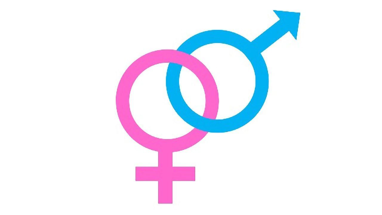Females Find Social Interactions To Be More Rewarding Than Males