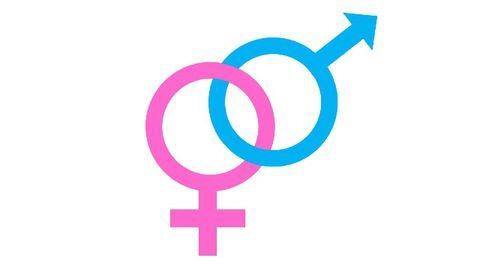 Females Find Social Interactions To Be More Rewarding Than Males