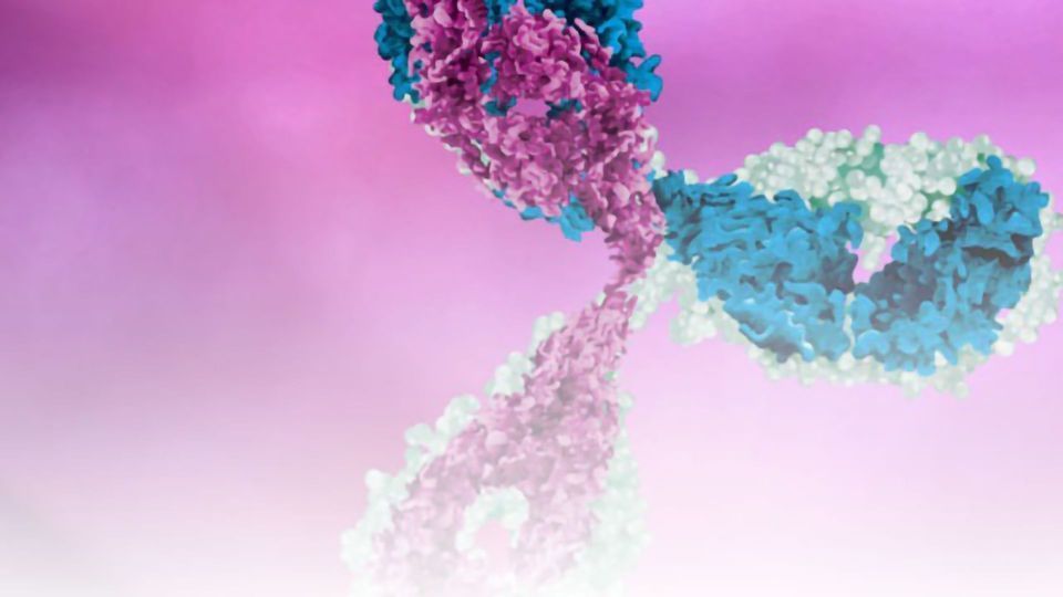 Trends in Structural Biology content piece image