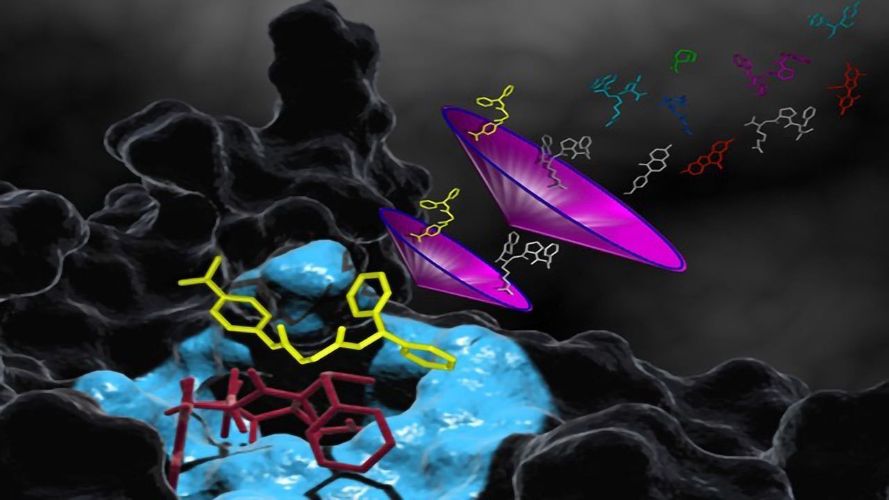 Evolution of Designer Enzymes