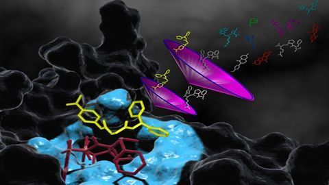 Evolution of Designer Enzymes