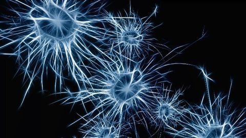 Messenger Molecules Boost ALS Neurons
