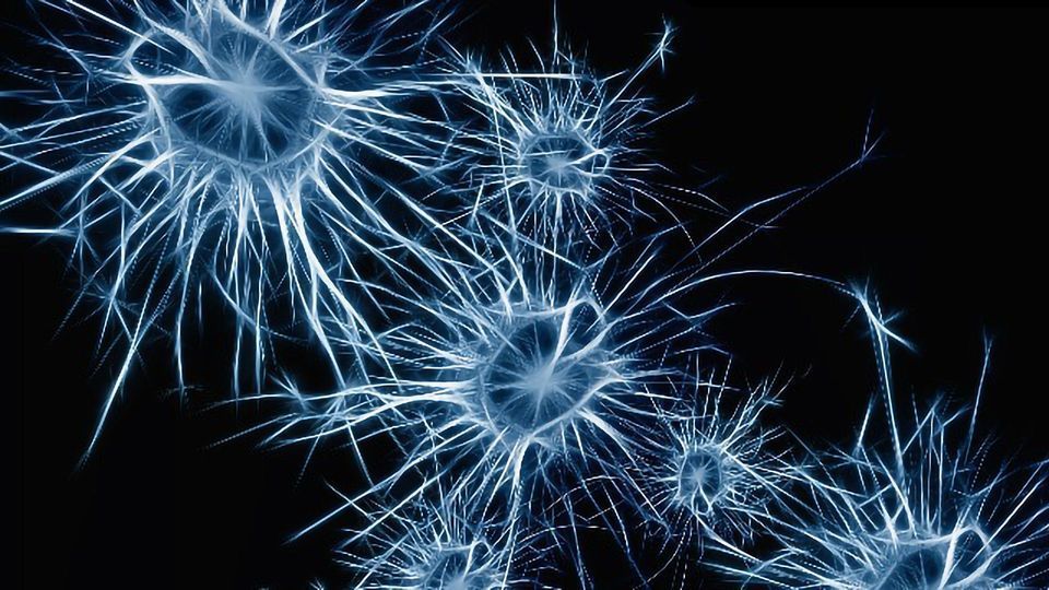 Messenger Molecules Boost ALS Neurons content piece image