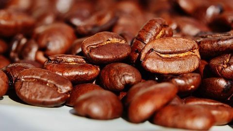 Microbes Make the Coffee