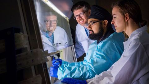 T Cell Recognition Diversity Linked to HIV Control