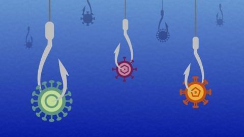Disease Surveillance Tool Helps to CATCH Out Viruses