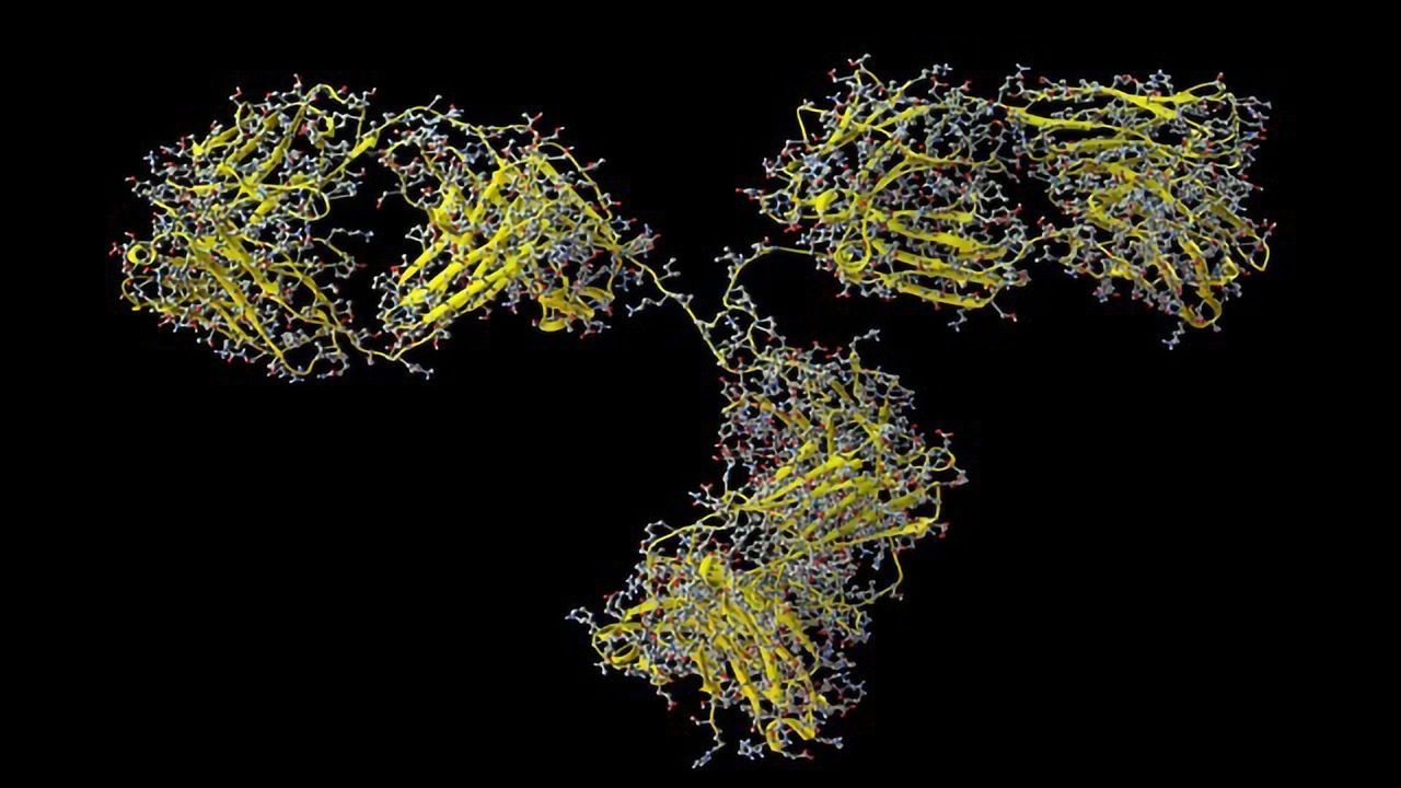 Biosimilar Surge Driving Need for Antibody Characterization