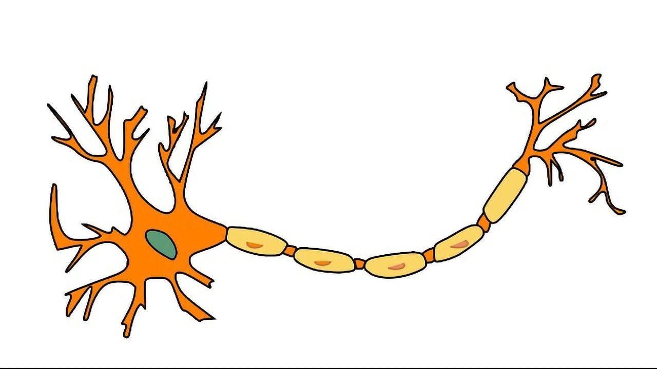 A Match Made in Neural Heaven