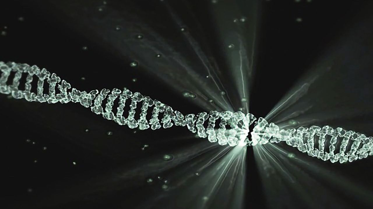 Anti-CRISPR Proteins Discovered in Soil and Human Gut