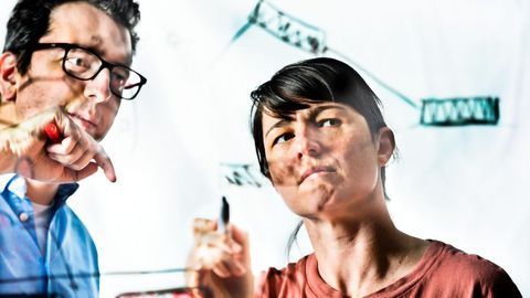 Learning Transistor Mimics the Brain