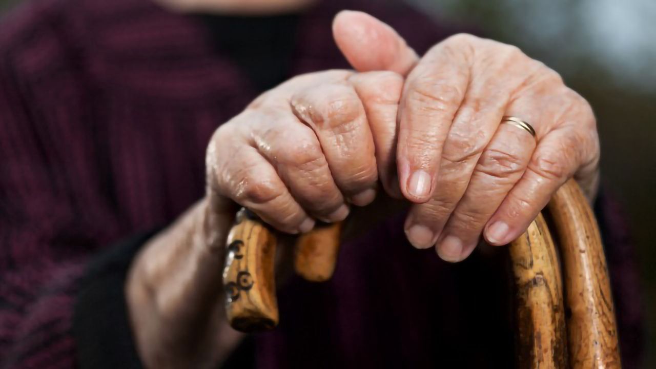 Harnessing AI in a Battle Against Aging