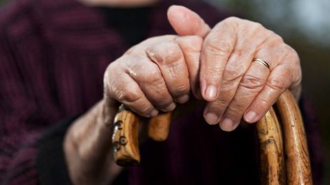 Harnessing AI in a Battle Against Aging