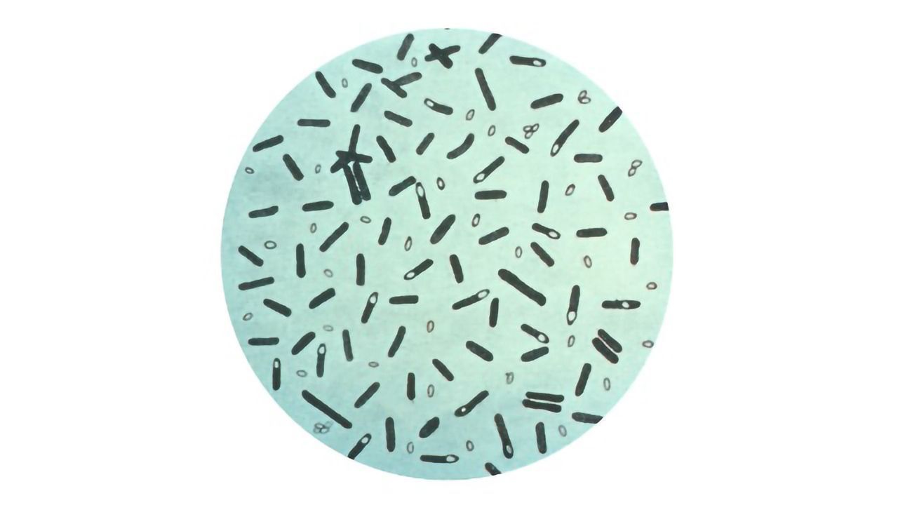 The Booming Business of Neurotoxin Therapy