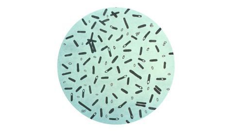 The Booming Business of Neurotoxin Therapy