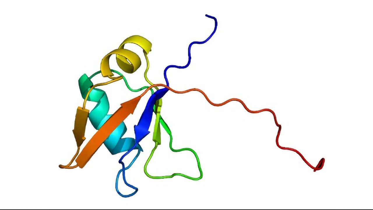 New ALS Therapy Successfully Tested on Mice