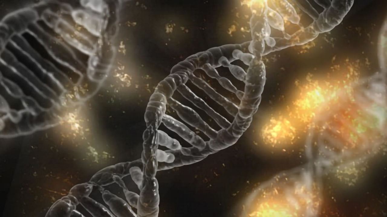 Notorious Male Y Chromosome is Not a “Genetic Wasteland”