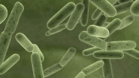 Theraly Fibrosis Inc. Licenses Scarab Genomics’ Bacterial Production Technologies for its Pharmaceutical Program