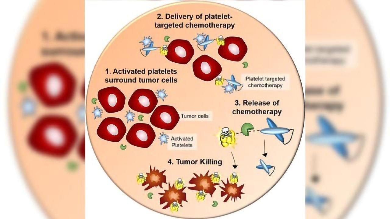 A Novel Way to Destroy Difficult-to-Treat Cancer Cells?