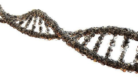 RNA Encourages Protein Aggregation in Neurodegenerative Disease