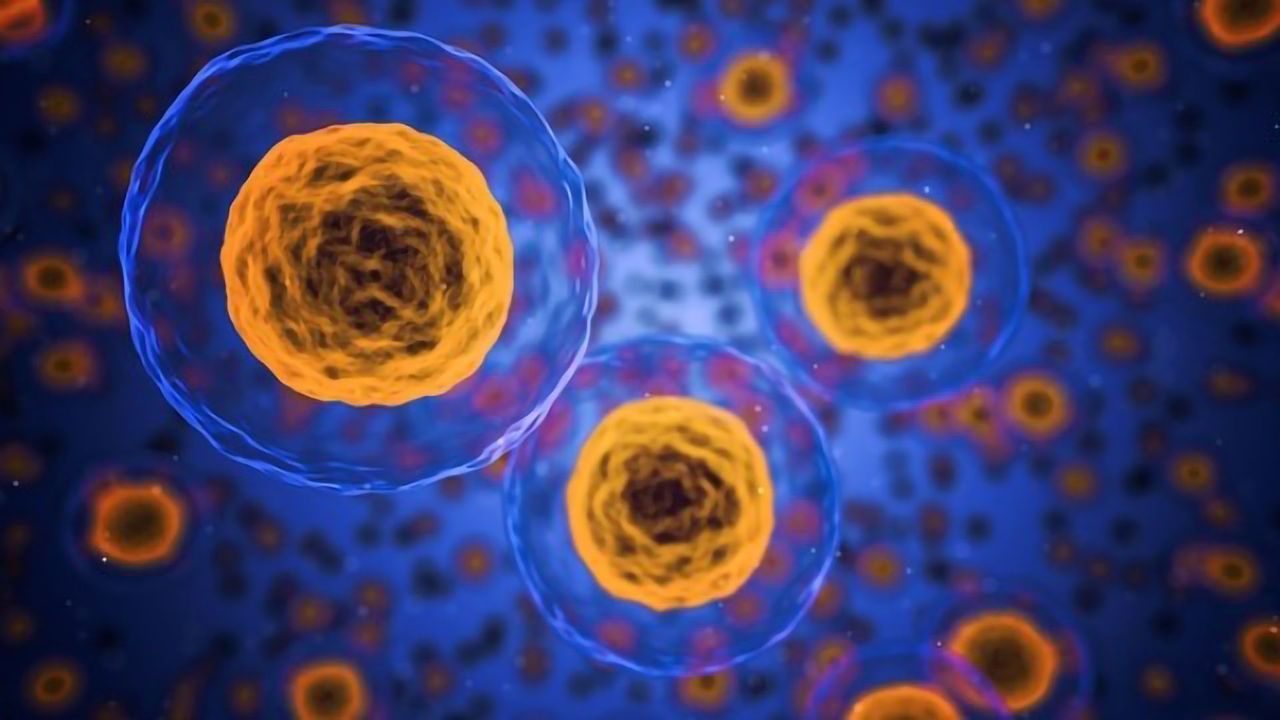 Finding Chemicals Inside a Cell