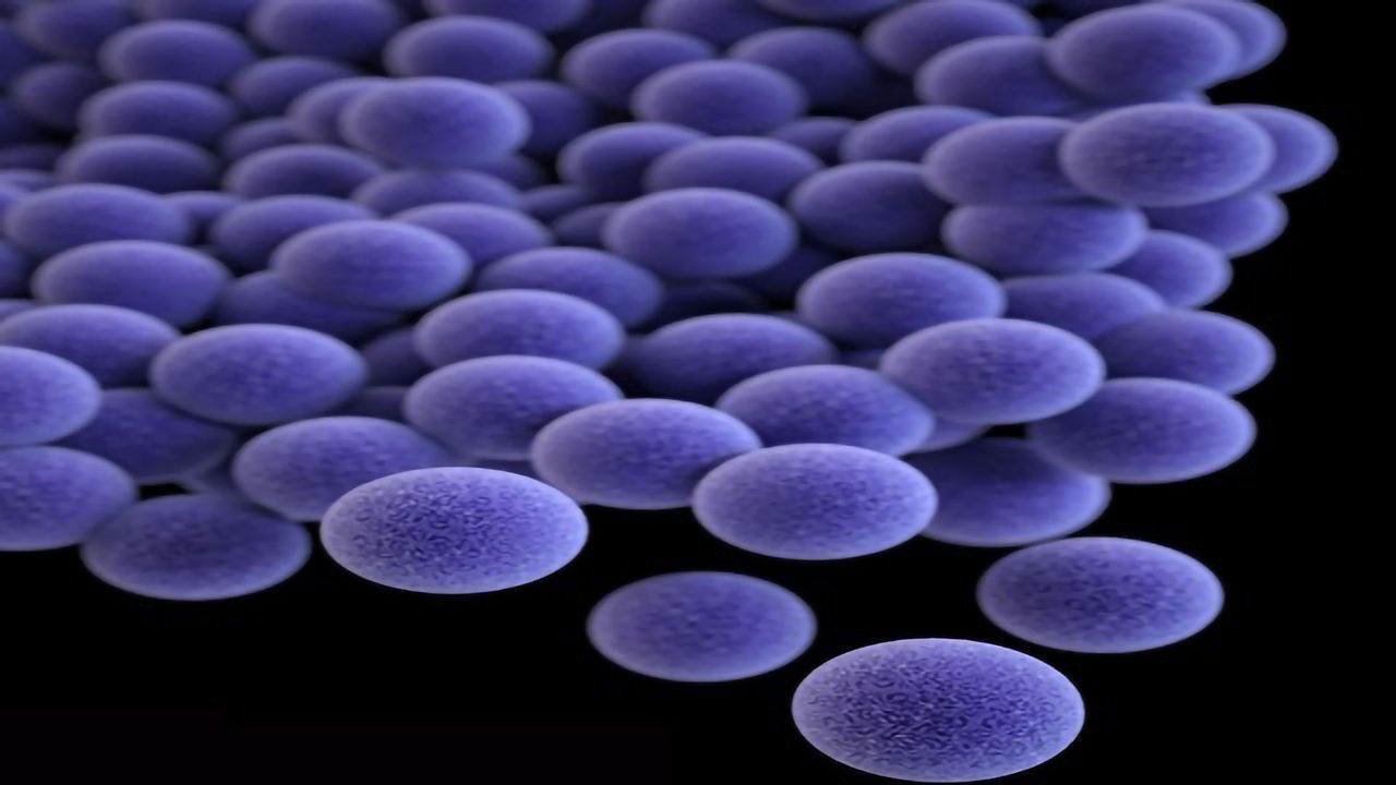 Genes That Help Harmful Bacteria Thwart Treatment