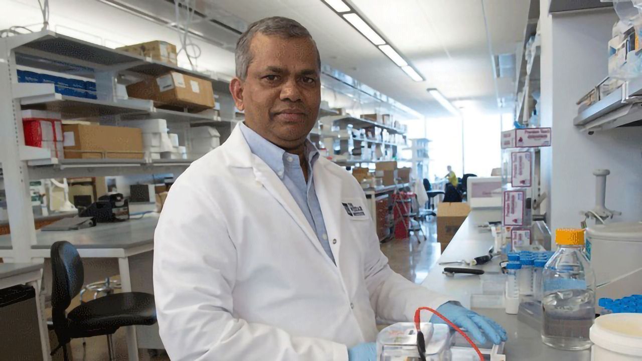 Engineered DNA Vaccine Protects Against Emerging Mayaro Virus Infection