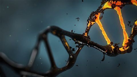 Overcoming CRISPR Challenges