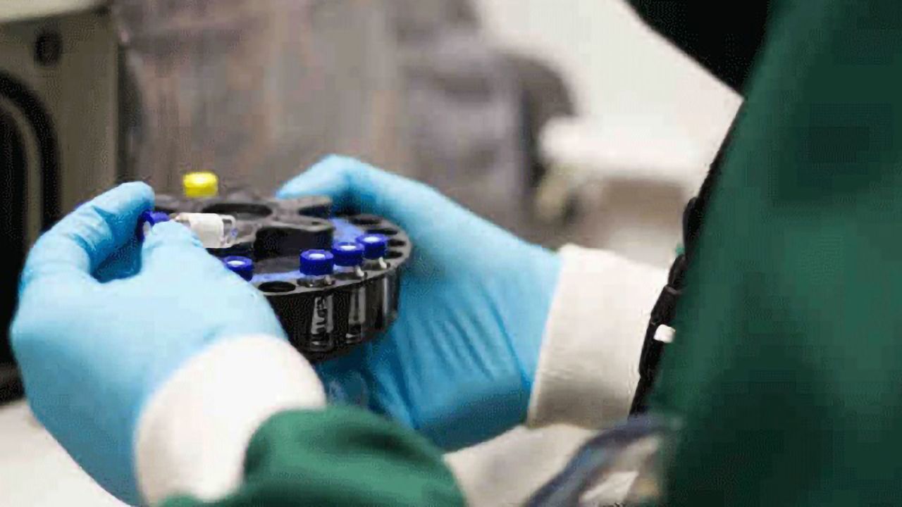 HPV Cervical Screening Test Switch "Effective"