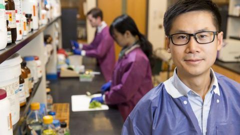 Machine Learning Helps ID the Source of Salmonella