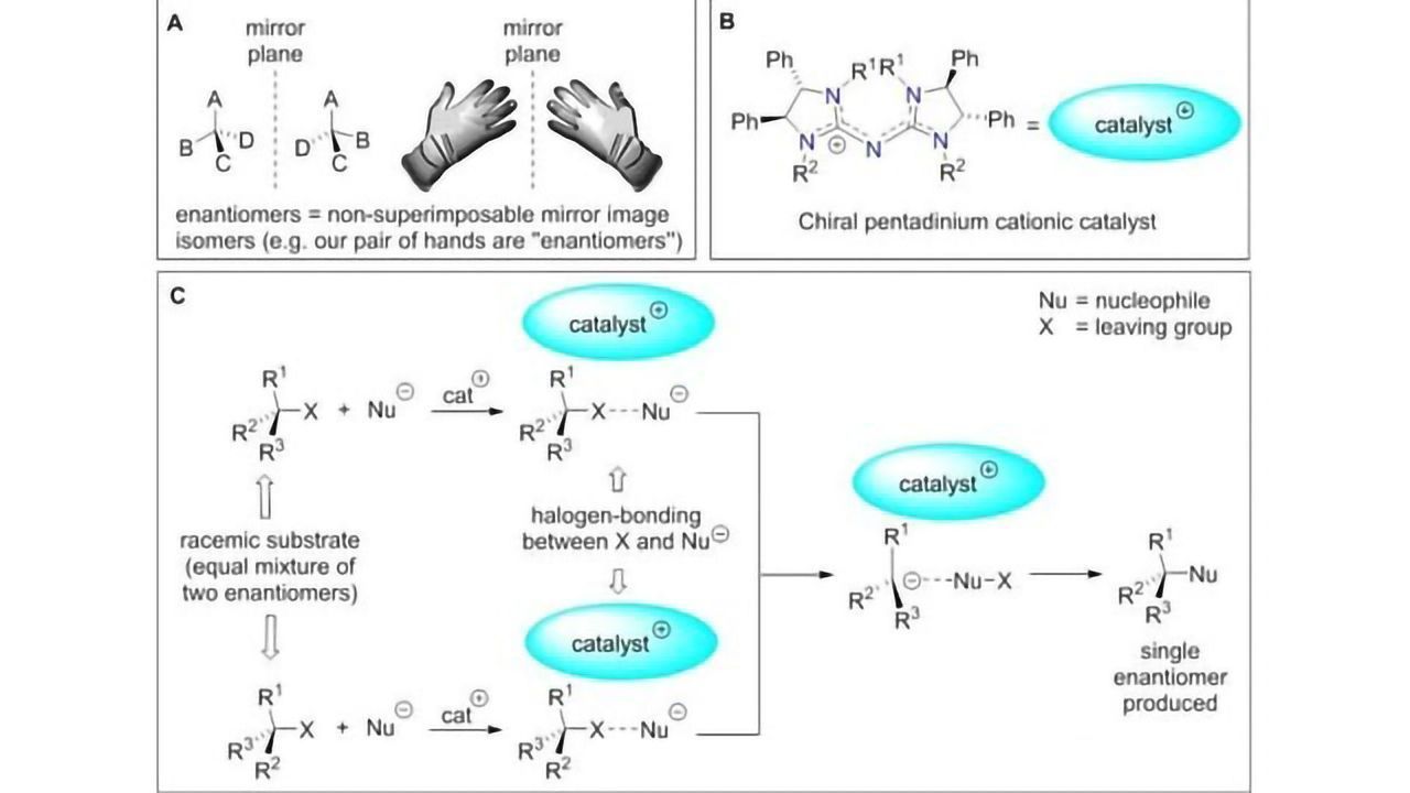 An Asymmetric Chemical Reaction With Intriguing Reaction Pathways