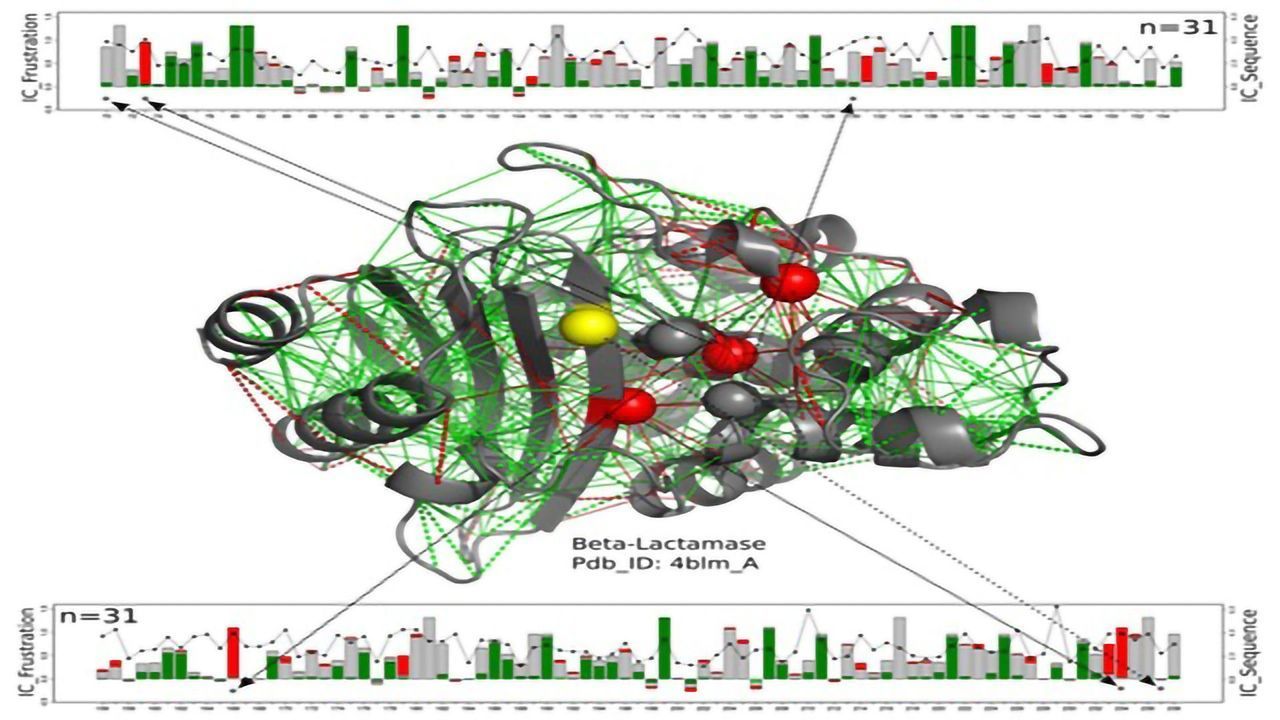 Frustrated Proteins and the “Perfect Fold”