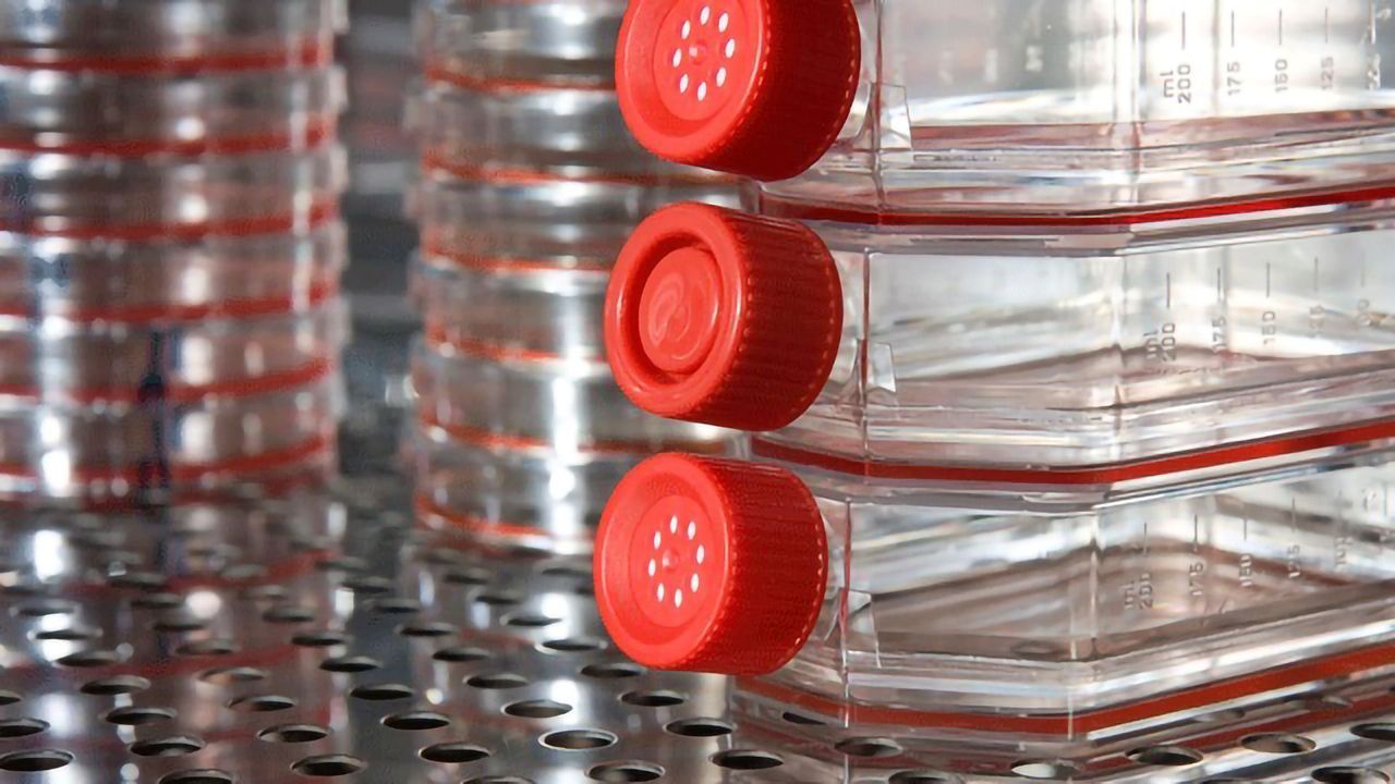 Gel Supports 3D Cultures of Hepatocytes in Liver-on-a-chip Device
