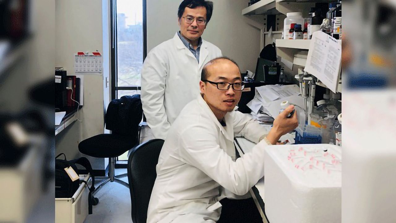 Insights on the Role of Estrogen in Type 2 Diabetes