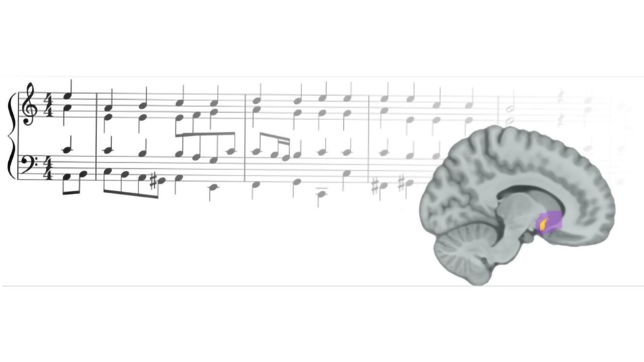 How Music Activates Our Brain's Reward Center